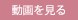 動画を見る
