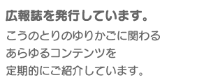 ゆりかごだより